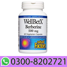 WellBetX Berberine 500mg In Pakistan